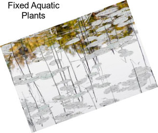 Fixed Aquatic Plants