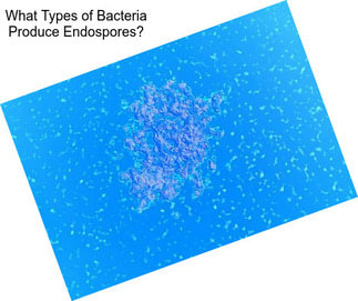 What Types of Bacteria Produce Endospores?