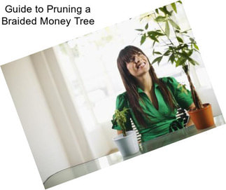 Guide to Pruning a Braided Money Tree