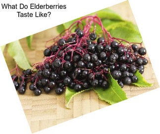 What Do Elderberries Taste Like?