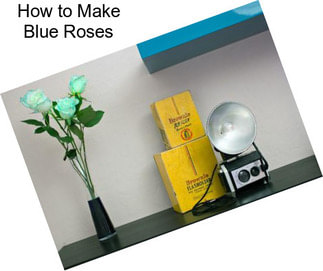 How to Make Blue Roses