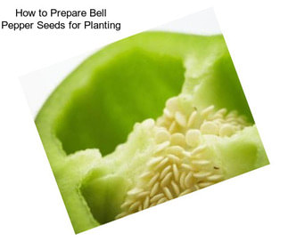 How to Prepare Bell Pepper Seeds for Planting