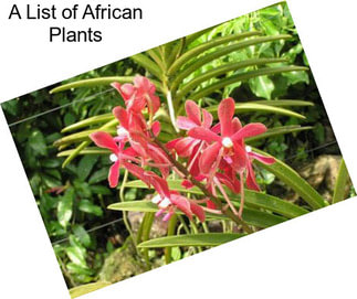 A List of African Plants