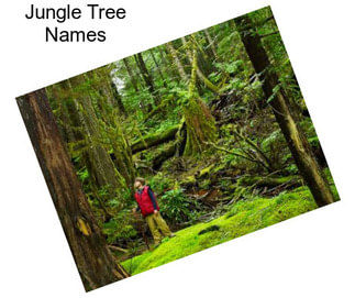 Jungle Tree Names