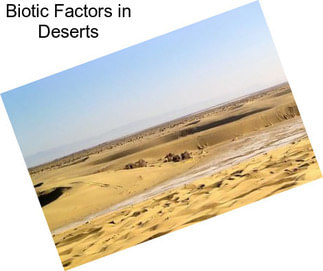 Biotic Factors in Deserts