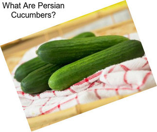 What Are Persian Cucumbers?