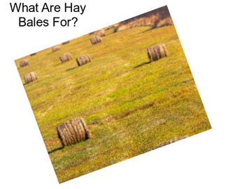 What Are Hay Bales For?