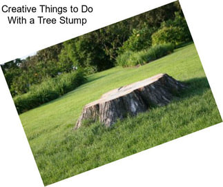 Creative Things to Do With a Tree Stump