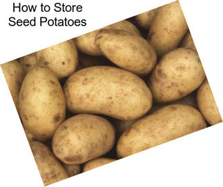 How to Store Seed Potatoes