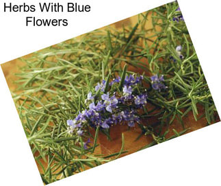 Herbs With Blue Flowers