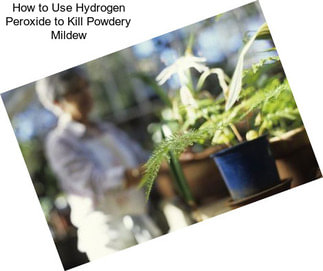 How to Use Hydrogen Peroxide to Kill Powdery Mildew
