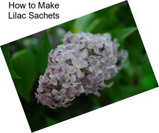 How to Make Lilac Sachets