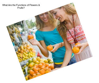 What Are the Functions of Flowers & Fruits?
