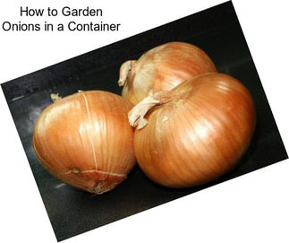 How to Garden Onions in a Container