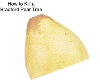 How to Kill a Bradford Pear Tree