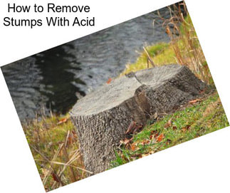 How to Remove Stumps With Acid