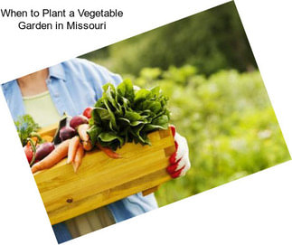 When to Plant a Vegetable Garden in Missouri