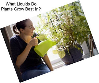 What Liquids Do Plants Grow Best In?