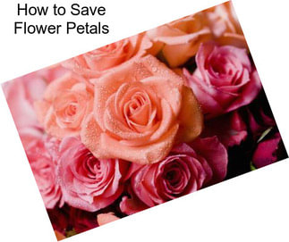 How to Save Flower Petals