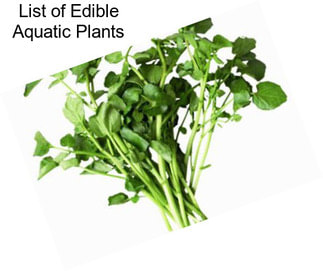 List of Edible Aquatic Plants