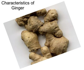 Characteristics of Ginger