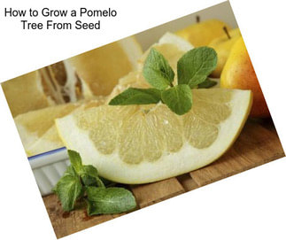 How to Grow a Pomelo Tree From Seed