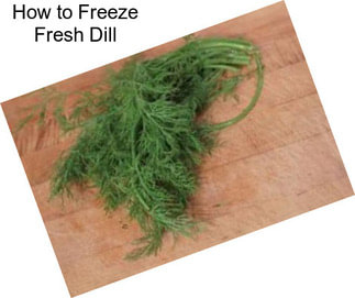 How to Freeze Fresh Dill