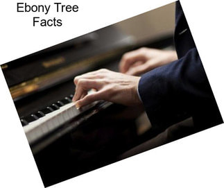 Ebony Tree Facts