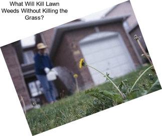 What Will Kill Lawn Weeds Without Killing the Grass?