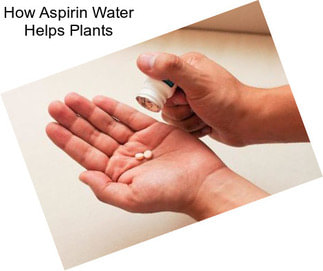 How Aspirin Water Helps Plants