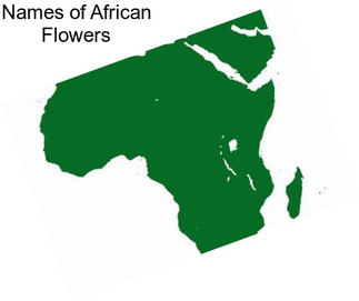 Names of African Flowers