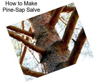 How to Make Pine-Sap Salve