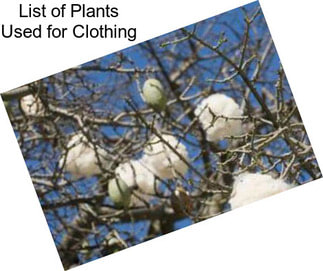 List of Plants Used for Clothing