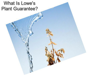 What Is Lowe\'s Plant Guarantee?