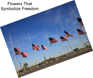 Flowers That Symbolize Freedom