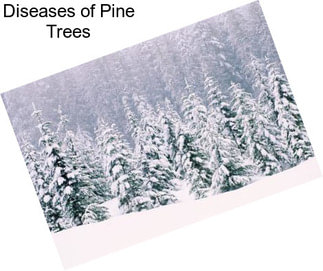 Diseases of Pine Trees