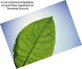 A List of Several Adaptations of Land Plants Significant for Terrestrial Survival