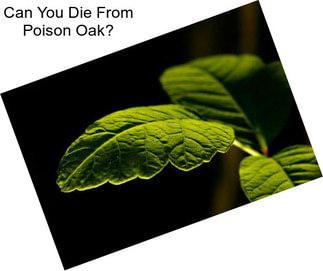 Can You Die From Poison Oak?