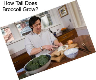 How Tall Does Broccoli Grow?