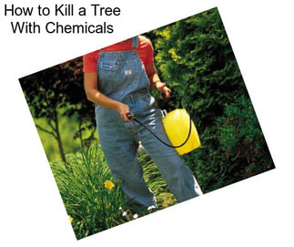 How to Kill a Tree With Chemicals