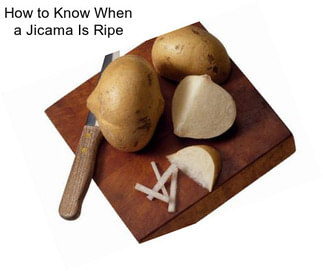 How to Know When a Jicama Is Ripe