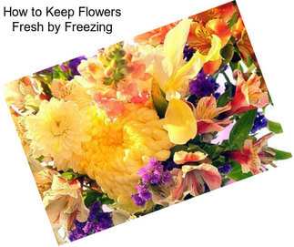 How to Keep Flowers Fresh by Freezing