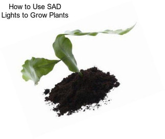 How to Use SAD Lights to Grow Plants