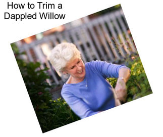 How to Trim a Dappled Willow