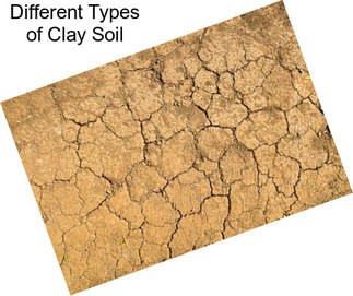 Different Types of Clay Soil