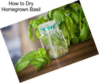 How to Dry Homegrown Basil