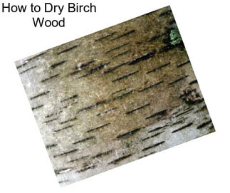How to Dry Birch Wood