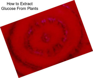 How to Extract Glucose From Plants