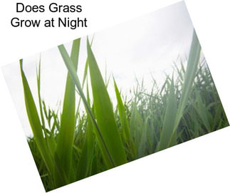 Does Grass Grow at Night