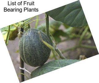 List of Fruit Bearing Plants